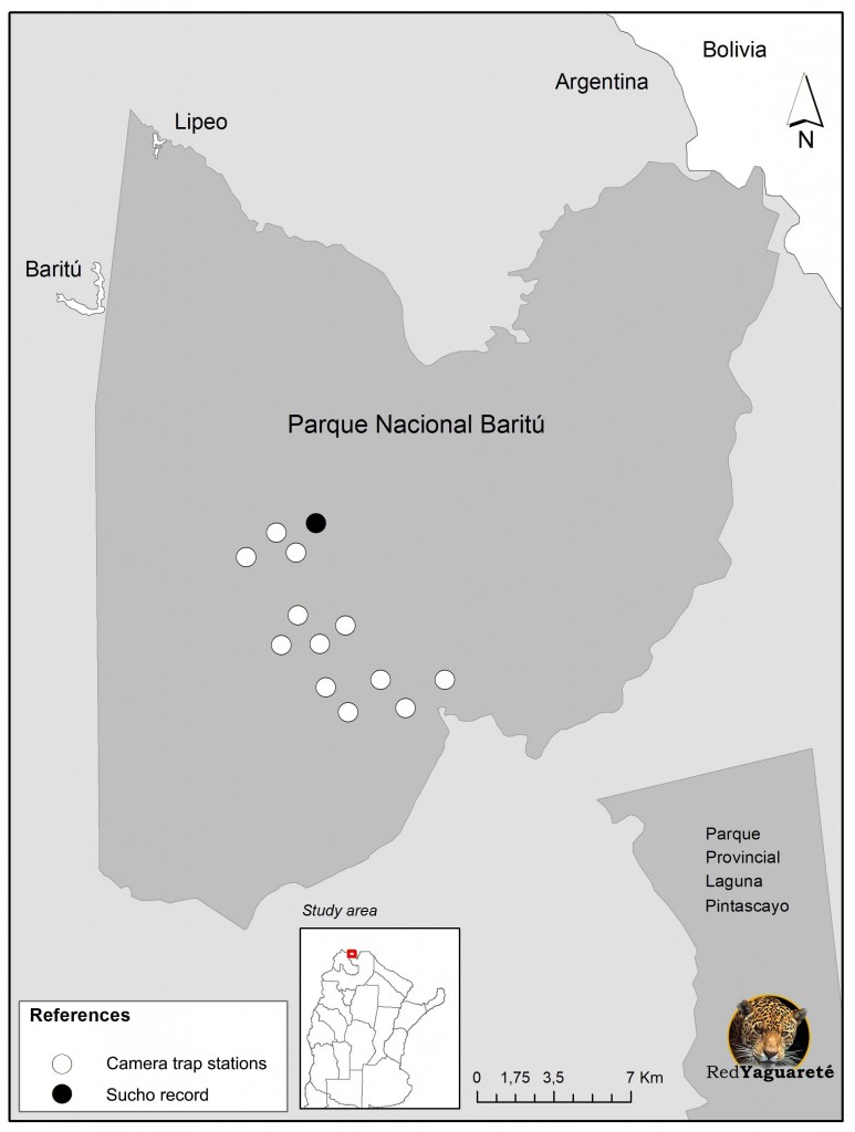 Fig. 1. Nuestras cámaras trampa en Parque Nacional Baritú y el registro del yaguareté lisiado (“Sucho”)
