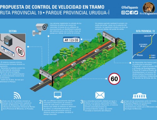 Control de velocidad en tramo: propuesta de Red Yaguareté para disminuir atropellamientos en Urugua-í.